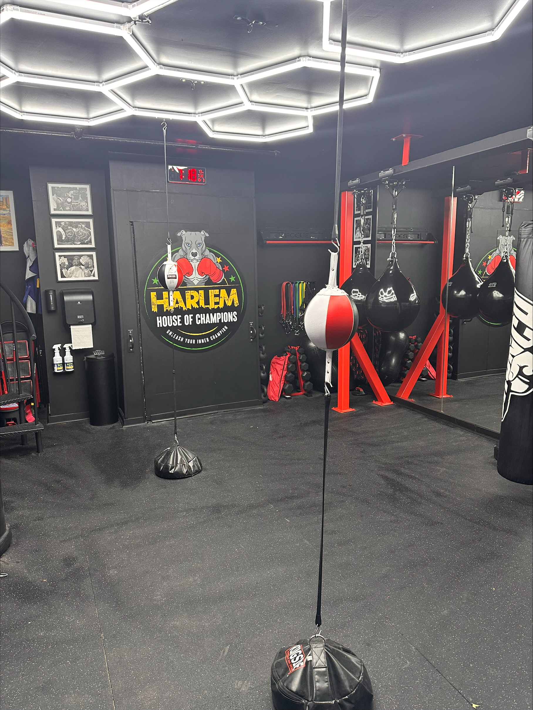 processed-7F56B361-9984-4C3B-8F82-733DDC58BA71-20A66357-77F5-4968-91B9-0C00D39939C8